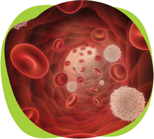 О чем расскажут клетки крови?