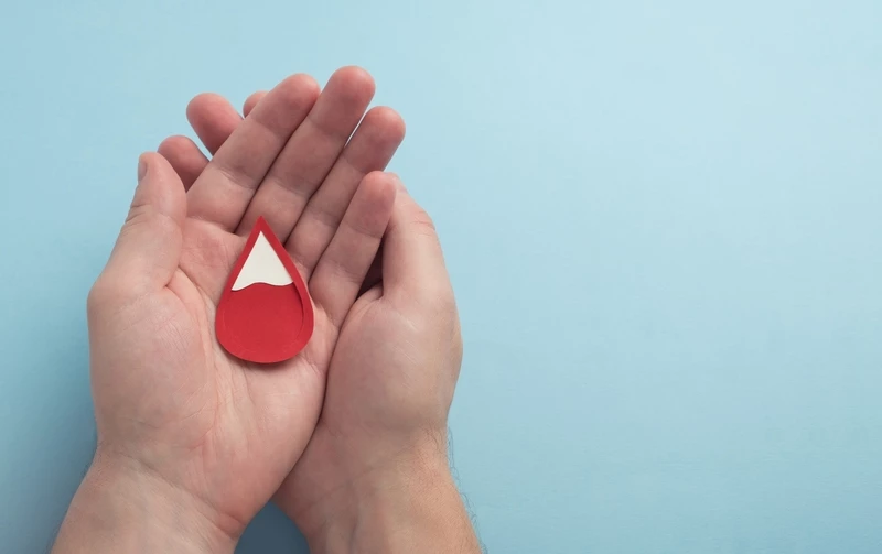 Повышенные эритроциты в крови у ребенка: причины, нормы и лечение