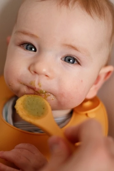 Как вводить прикорм ребенку: подробное описание